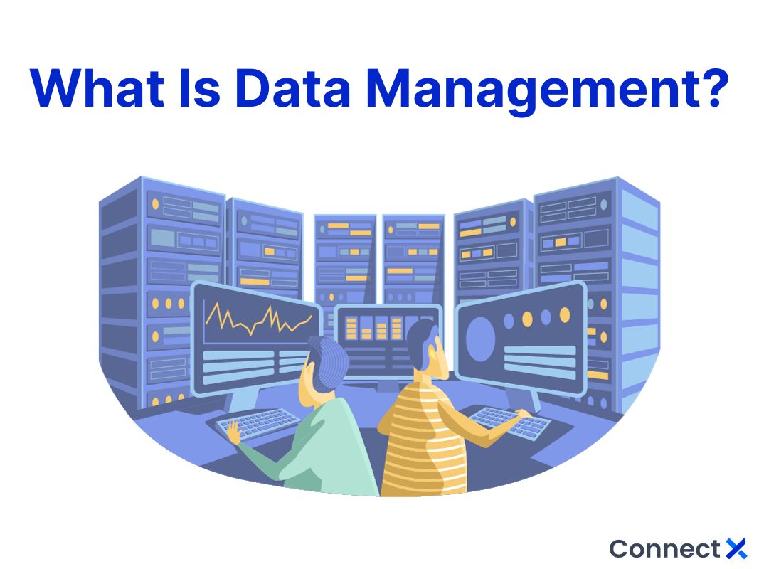 data management คือ